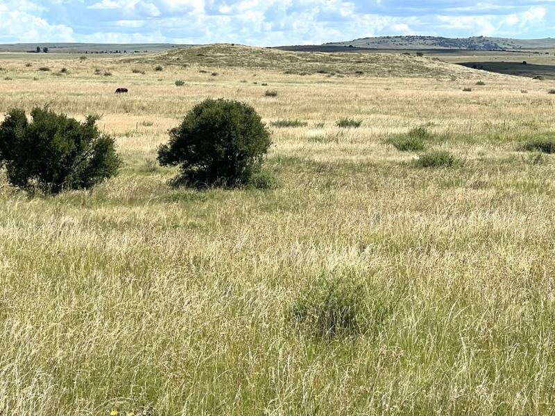 0 Bedroom Property for Sale in Lindley Free State